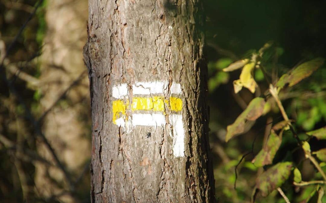 Reconnaitre le balisage des chemins de rando
